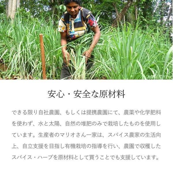 画像7: カレーの壺 レトルトカレー ポークカレー 中辛 180g 化学調味料不使用 保存料不使用 小麦粉不使用 グルテンフリー 無添加 (7)